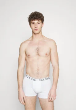 Pier One 5 PACK - Panties - White/pink/light Blue -Pier One 3721024dbc554890a6059d1e8168907f