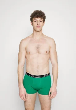 Pier One 5 PACK - Panties - Beige/green/bordeaux