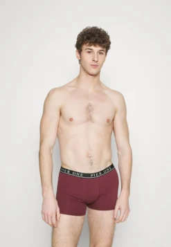 Pier One 5 PACK - Panties - Beige/green/bordeaux -Pier One e6d291a2721249bc8ba1cf0e09e3ab7d